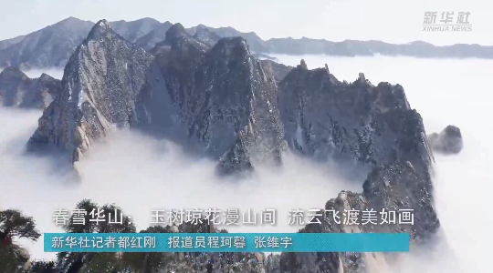 澳門最精準龍門，探索真正的精準之道，澳門最精準龍門，揭秘真正的精準之道