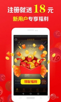 王中王的一肖，探尋背后的奧秘與故事，王中王的一肖，揭秘背后的奧秘與傳奇故事