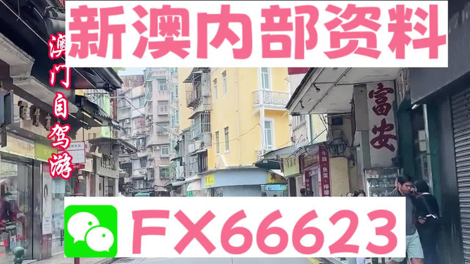 新澳精準資料免費提供，探索與利用資源助力成功，新澳精準資料免費分享，助力成功探索與利用資源
