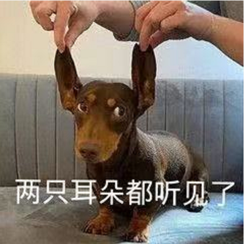 王中王四不象必中一肖，揭秘背后的秘密與策略，揭秘王中王四不象必中一肖背后的秘密與策略之道
