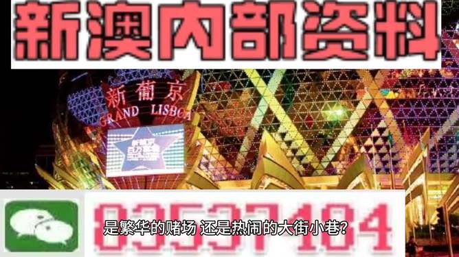 新澳門精準資料大全與管家婆料，探索SEO的奧秘，探索SEO奧秘，新澳門精準資料大全與管家婆料的秘密解析