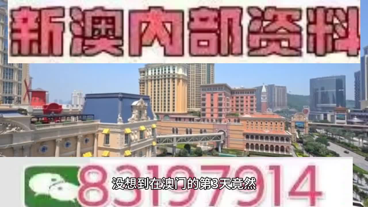 新澳門今晚必開一肖一特，探索生肖與特碼的魅力，澳門生肖特碼探索，今晚必開一肖一特之魅力