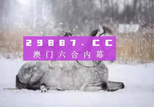 澳門正版精準資料，探索未來的趨勢與機遇（2024年展望），澳門正版精準資料揭秘，未來趨勢與機遇展望（2024年）