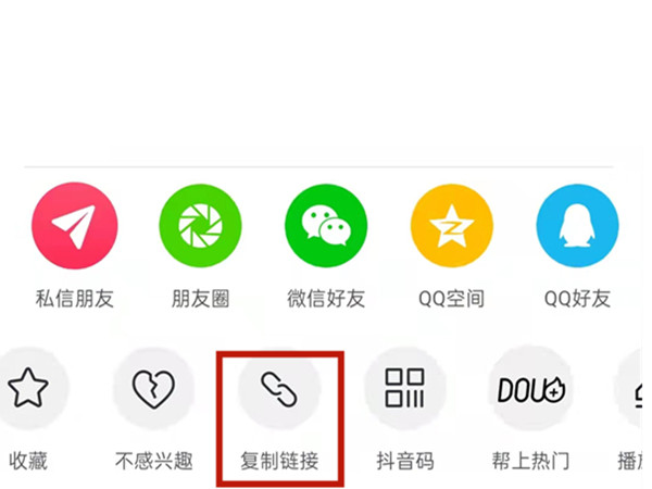 白小姐王中王中特一肖，神秘傳奇與SEO探索，神秘傳奇與SEO探索，白小姐王中王中特一肖的奧秘