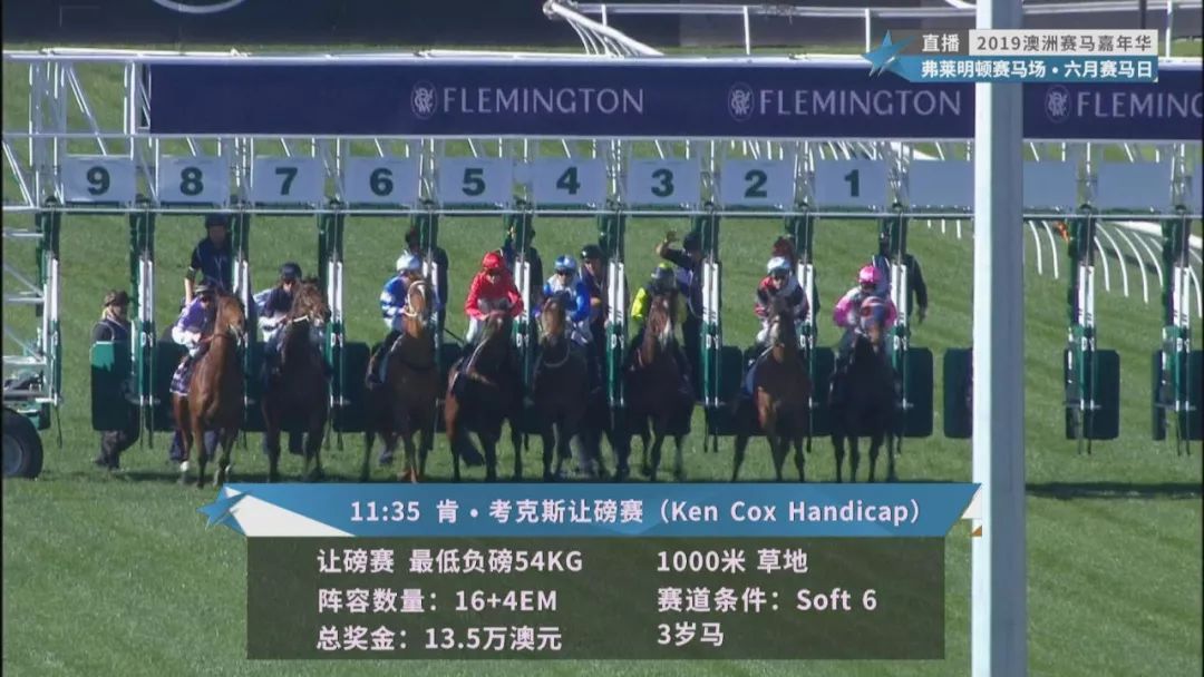 賽馬澳門六月開獎結果，探索與期待，澳門六月賽馬開獎揭曉，探索結果引期待