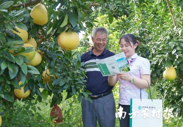 資料大全正版資料2025，一站式獲取所有你需要的信息，資料大全正版資料2025，一站式獲取所有信息總匯