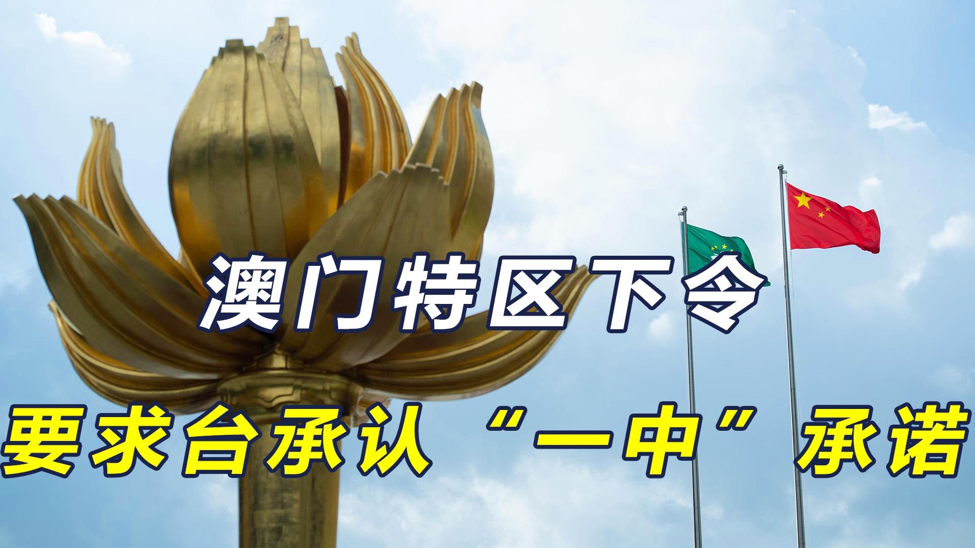 澳門一碼一肖一恃一中312期，揭秘與探索彩票文化背后的秘密，澳門彩票文化揭秘，一碼一肖背后的探索與奧秘