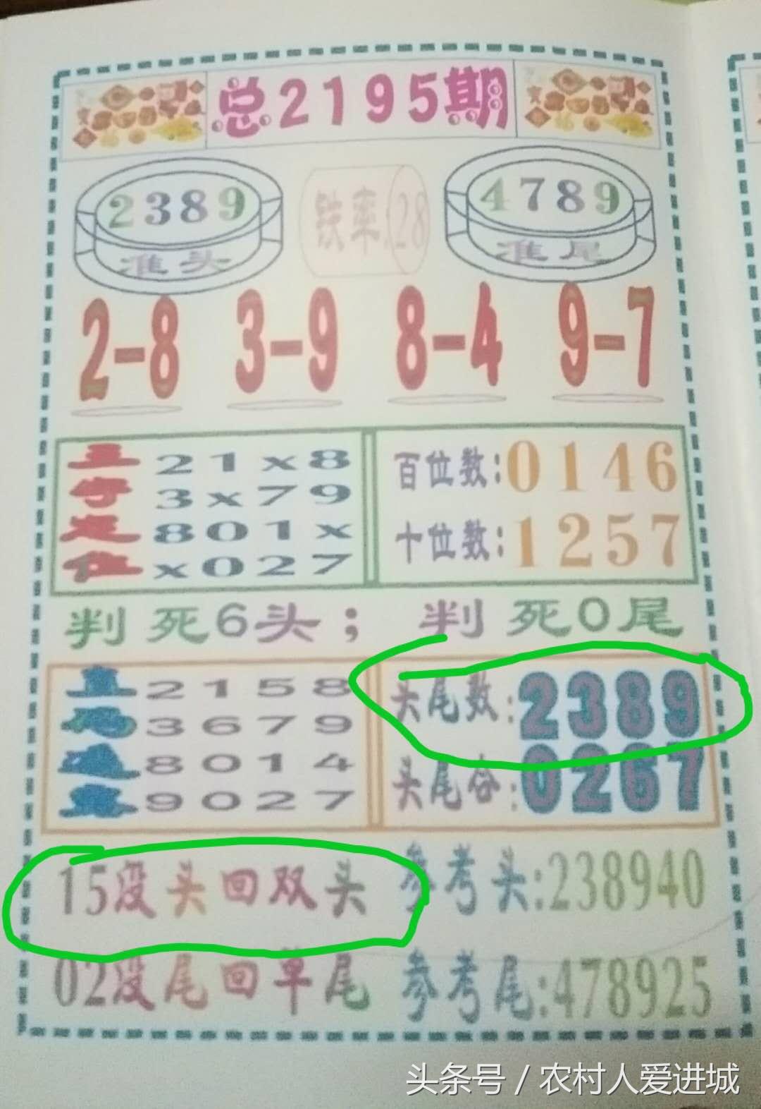 新澳門精準四肖期中特公開，探索澳門博彩文化及其魅力，澳門博彩文化探索，精準四肖期中特公開的魅力