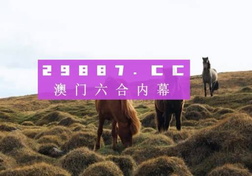 澳門六開獎結(jié)果2023開獎記錄查詢網(wǎng)站——全面解析與最新資訊，澳門六開獎結(jié)果最新解析與資訊，全面查詢2023年開獎記錄