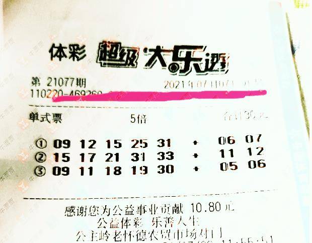 王中王077期指一生肖——揭秘背后的奧秘與生肖運勢分析，揭秘生肖奧秘與運勢分析，王中王生肖預測077期揭曉！