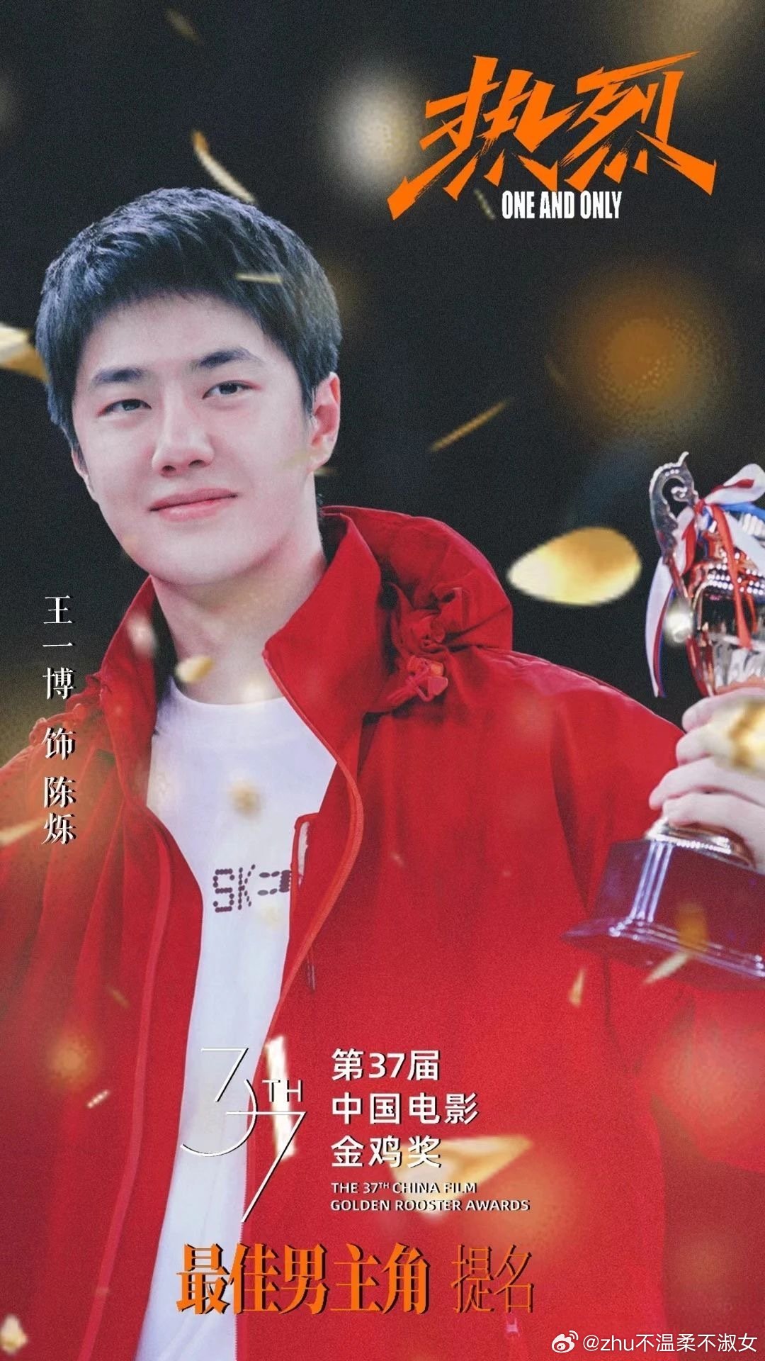 王中王一肖一特一中一中，探尋背后的故事與奧秘，探尋王中王一肖背后的故事與奧秘