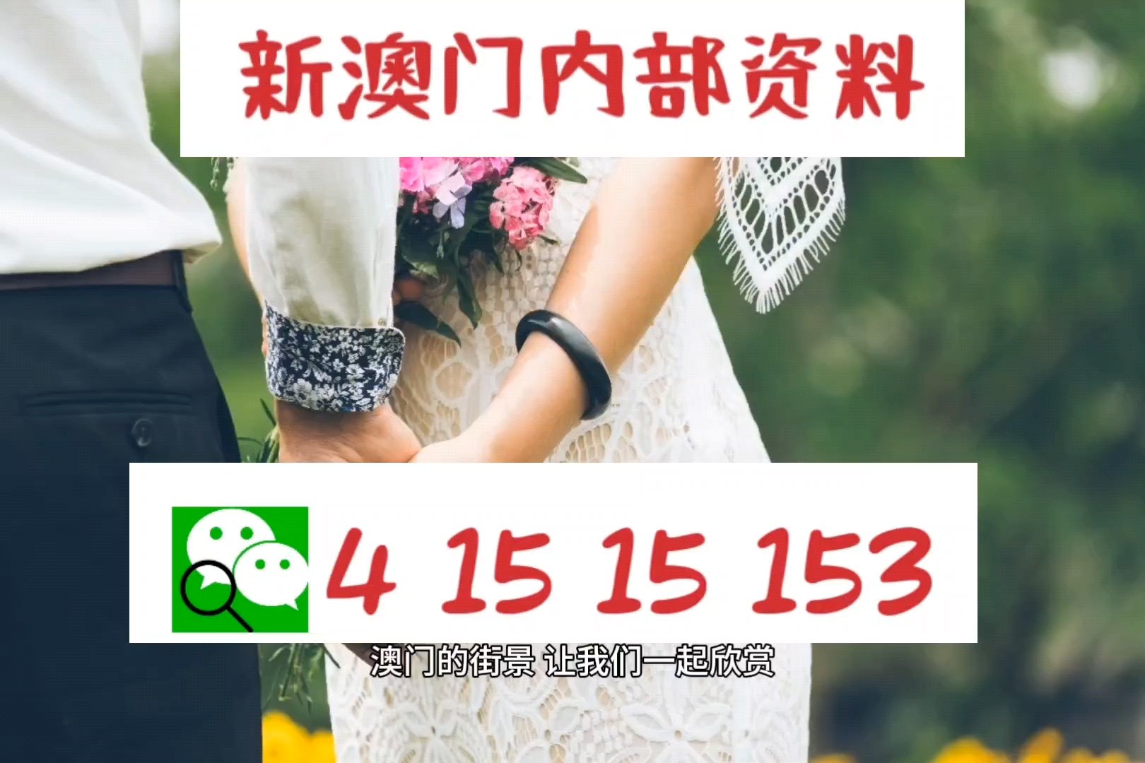 新澳精準資料，深度解析與探索，新澳精準資料深度解析與探索之旅