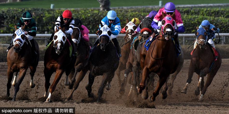 王中王與一馬中特，探尋生肖之魅力——關于生肖屬相的獨特解讀，揭秘生肖魅力，王中王與一馬中特的獨特解讀