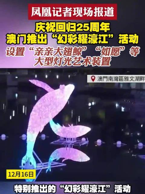 新澳門六開獎結果查詢濠江論壇——快速獲取開獎信息的首選平臺，澳門六開獎結果查詢首選平臺，濠江論壇快速更新開獎信息