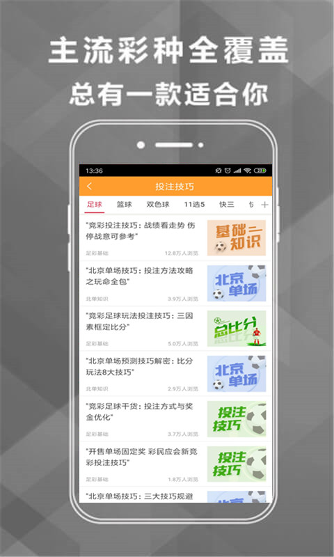 王中王493333中特馬網站——探索彩票樂趣的首選平臺，王中王493333中特馬網站，彩票樂趣的首選探索平臺