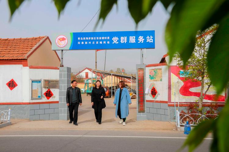 2025新澳天天開彩大全——衣冠群獸探秘，2025新澳天天開彩大全，衣冠群獸探秘之旅