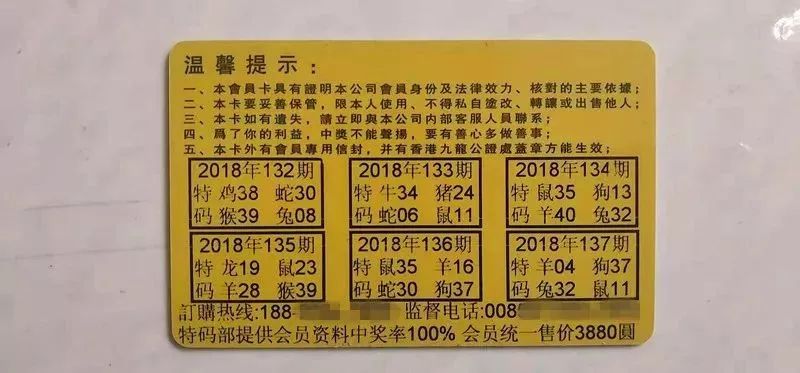 香港中特期期準資料，深度解析與探索，香港中特期期準資料深度解析與探索報告
