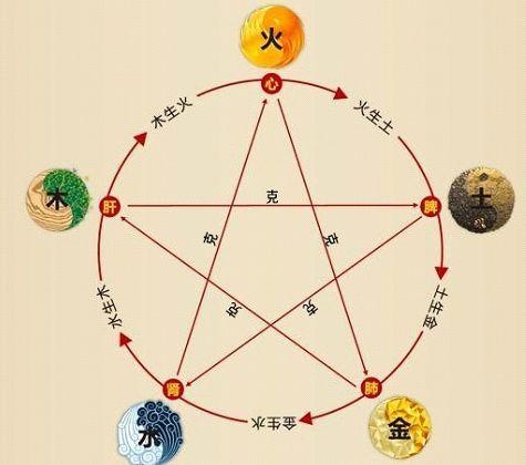 鐵算算盤4887最準資料，揭秘其背后的秘密與優勢，揭秘鐵算算盤4887，最準資料背后的秘密與優勢