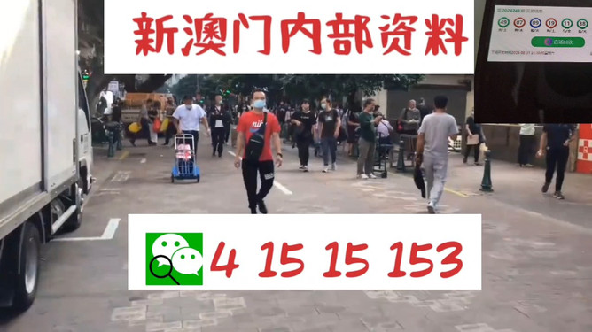 澳門管家婆一馬一中一開，揭秘背后的秘密與策略，澳門管家婆一馬一中一開，揭秘背后的秘密與策略揭秘背后的秘密與策略