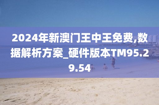 揭秘未來之星，2025新澳王中王，揭秘未來之星，2025新澳王中王風采展示