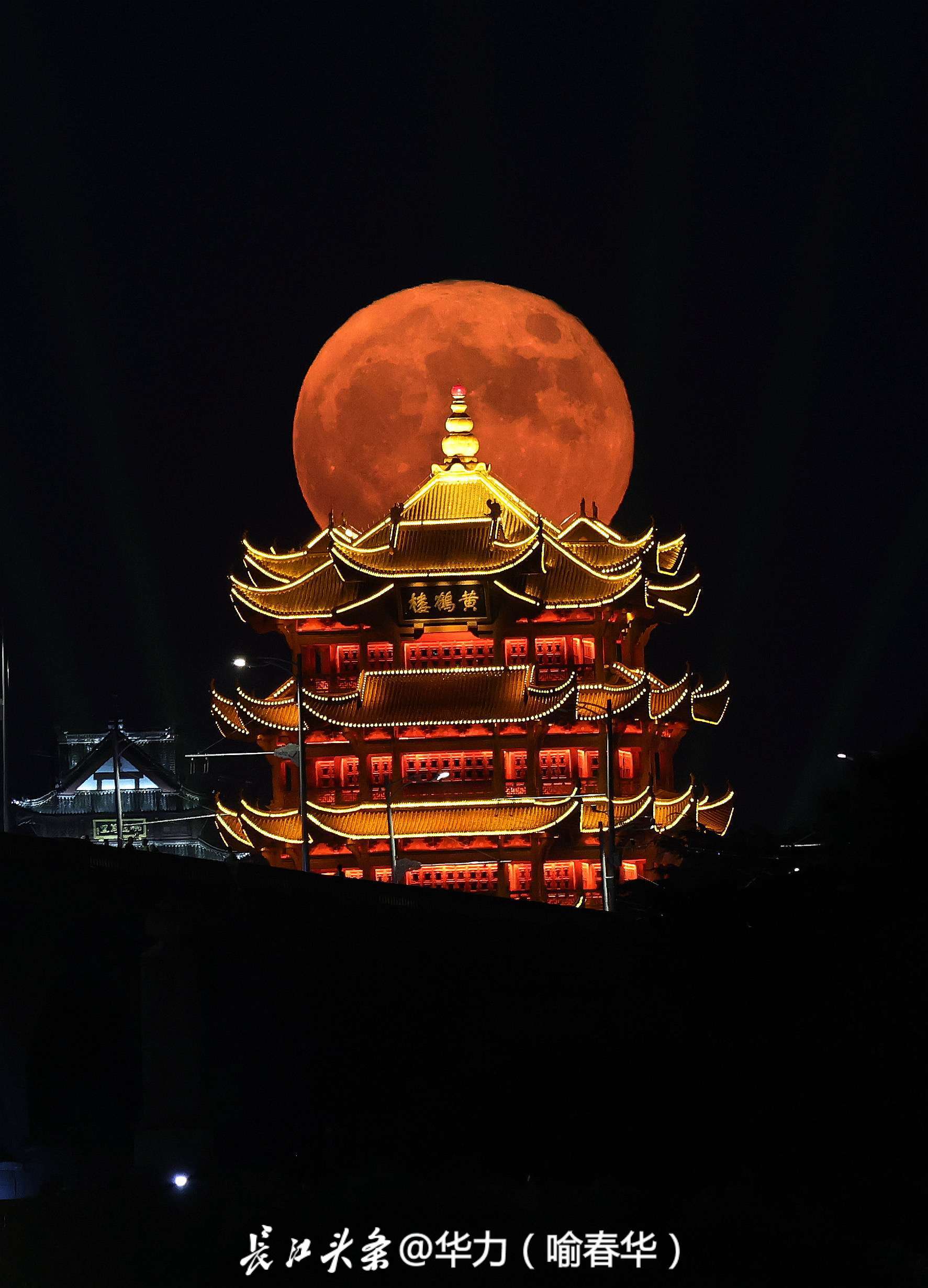 重磅推薦黃鶴樓歲月靜好系列新品——肖中特版，審核通過，獨家呈現黃鶴樓8888043.com，黃鶴樓歲月靜好系列新品——肖中特版重磅發布，獨家呈現黃鶴樓官網888804.com