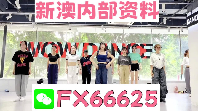 澳門免費資料大全，探索澳門的文化與歷史寶庫，探索澳門文化與歷史寶庫，澳門免費資料大全