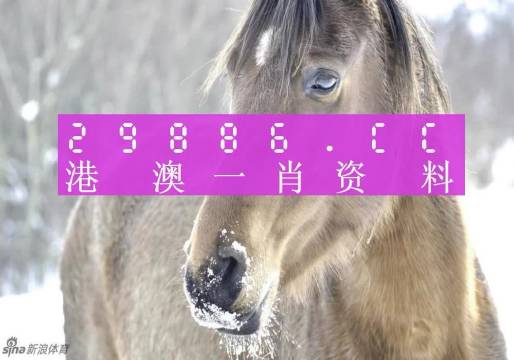 澳門一肖一碼，揭秘一個(gè)關(guān)于精準(zhǔn)預(yù)測(cè)背后的故事，澳門一肖一碼揭秘，精準(zhǔn)預(yù)測(cè)背后的神秘故事
