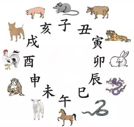 澳門天天彩期期精準十二生肖預測——揭秘彩票秘密，澳門天天彩期期精準十二生肖預測，揭秘彩票秘密之獨家解析