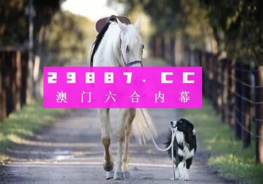 澳門彩的奧秘世界與SEO優(yōu)化策略探討 —— www.04812com的獨家解析，澳門彩奧秘與SEO優(yōu)化策略獨家解析，www.04812com深度探討