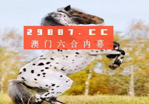 白小姐的精準免費四肖，揭秘背后的秘密，揭秘白小姐精準免費四肖背后的秘密