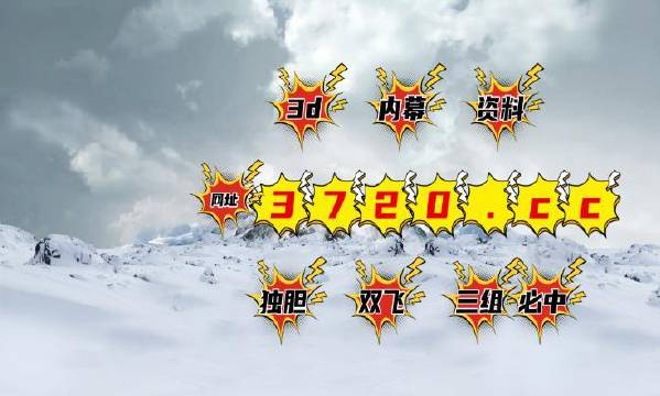 揭秘4887王中王精準資料，全方位解讀，讓你贏在起跑線，揭秘王中王精準資料，全方位解讀助你贏在起跑線