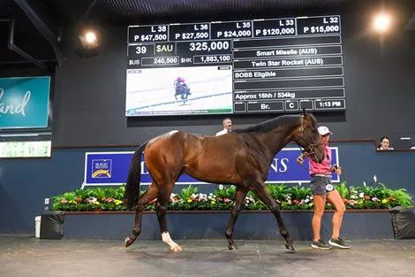 香港最精準的特馬資料，揭秘賽馬世界的秘密，香港精準特馬資料揭秘，賽馬世界的奧秘探秘