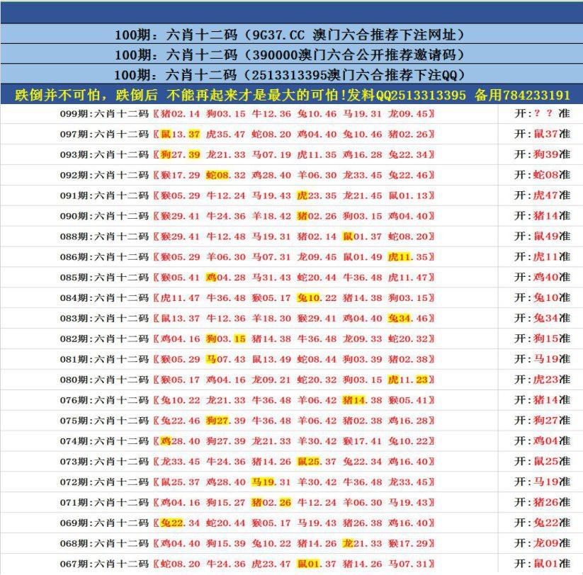 澳門無錯九肖今日搜狗，探索與解析，澳門無錯九肖今日搜狗，深度解析與探索