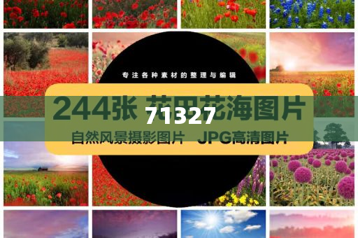 探索777788888管家婆網，一站式解決方案的綜合服務平臺，一站式解決方案的綜合服務平臺，探索777788888管家婆網