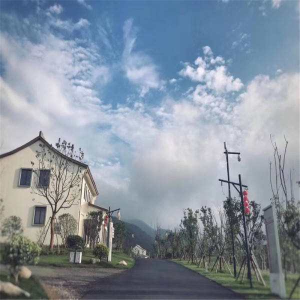 新奧今晚開一肖一特講解詞語，揭秘生肖與特肖的獨特魅力，揭秘生肖與特肖的獨特魅力，新奧今晚一開一特講解詞語