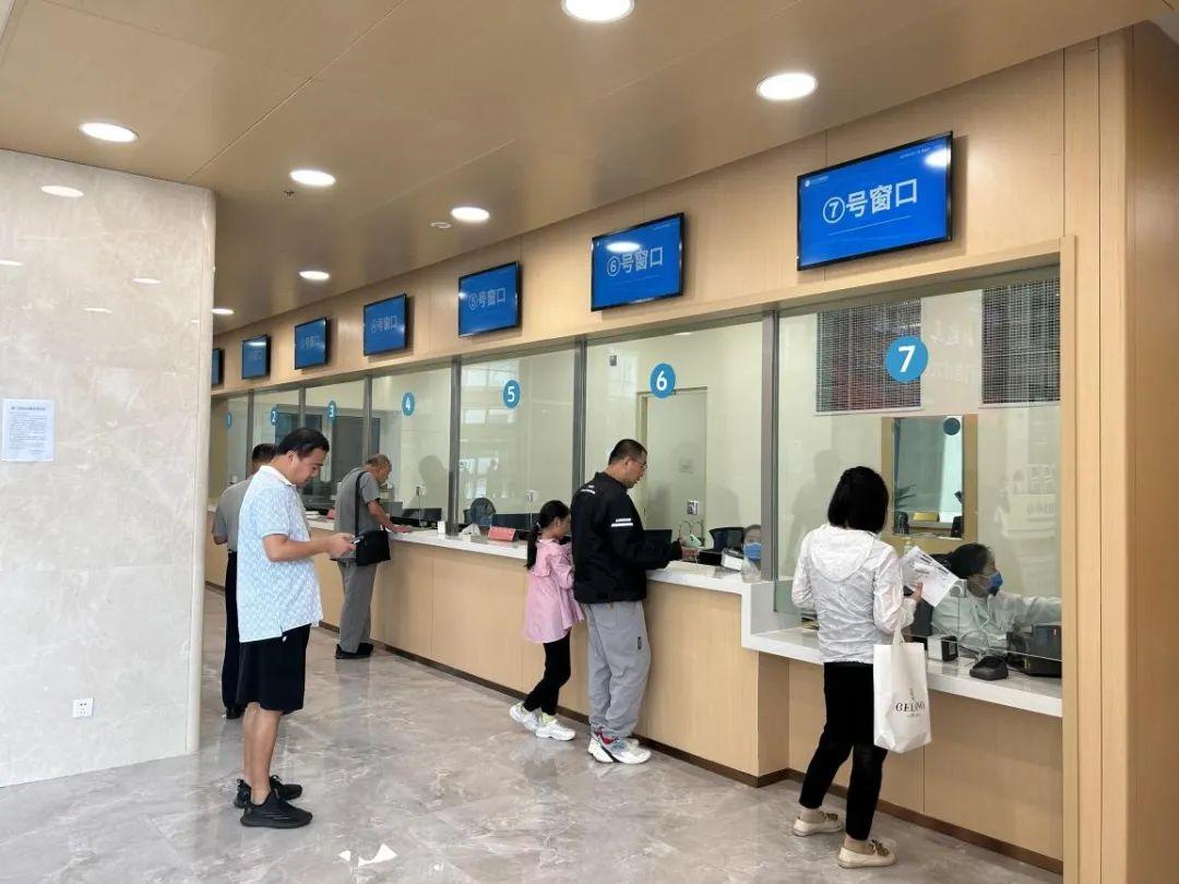 新門內部資料免費獲取——探索與揭秘，新門內部資料大揭秘，免費獲取探索之旅