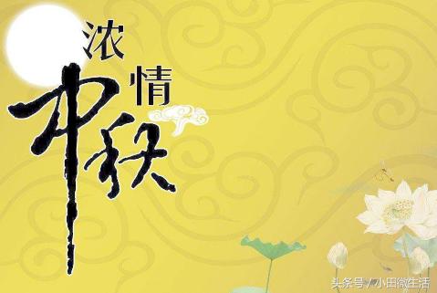 天天開好彩免費資料大全——你不可錯過的幸運之門，天天開好彩免費資料大全——開啟幸運之門的必備指南