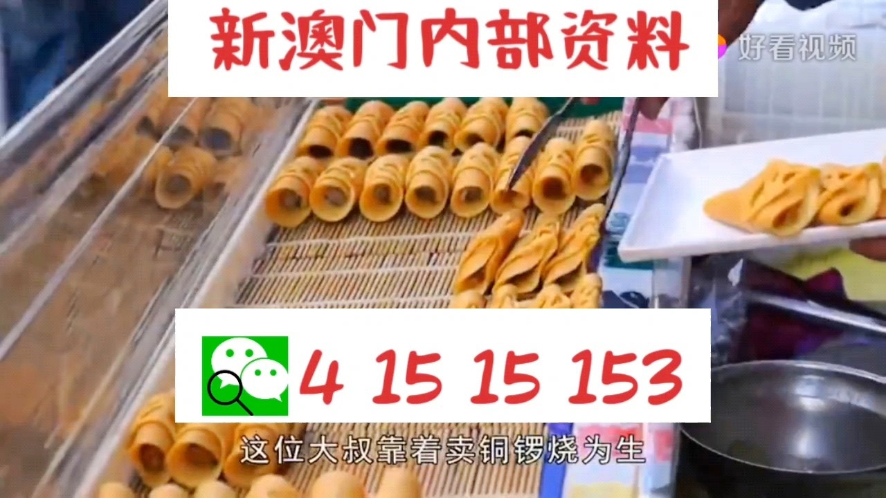 澳門天天好彩66，展望未來的美好愿景與探索（2025年），澳門天天好彩66，展望未來美好愿景與探索（2025展望）