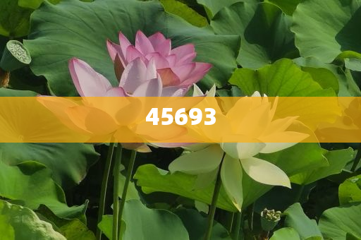 全新升級，7777888888精準新管家，全新升級管家，精準管理，一站式服務 7777888888新管家重磅來襲