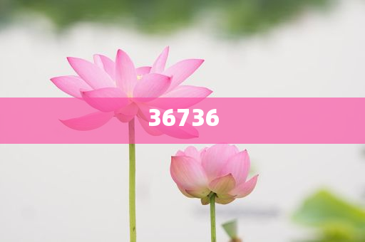 揭秘精準新傳秘籍，7777788888免費策略與SEO優化，揭秘精準新傳秘籍，免費策略與SEO優化指南
