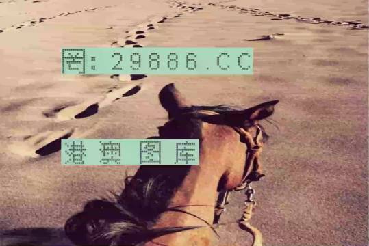 香港特馬資料王中王，揭秘背后的秘密，揭秘香港特馬資料王中王的背后秘密