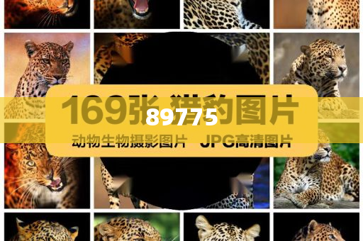 關(guān)于新奧歷史開獎記錄的最新信息，今天公布了嗎？，新奧歷史開獎記錄最新信息公布了嗎？