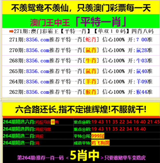 澳門王中王心水王中王，探索與解析，澳門王中王心水奧秘，深度探索與解析