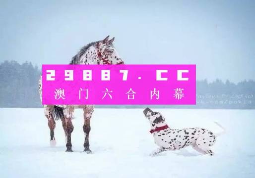澳門一肖一碼狀元紅，揭秘彩票背后的秘密與策略，澳門彩票揭秘，狀元紅背后的秘密與策略解析