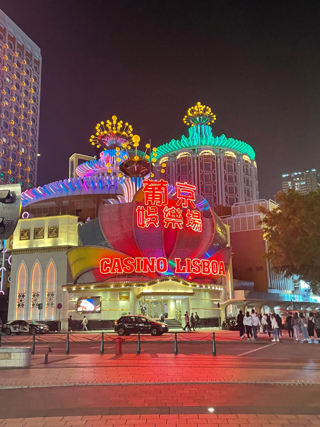 澳門今晚必開一肖一特芳草地，探索生肖與運(yùn)勢的神秘面紗，澳門生肖運(yùn)勢揭秘，探索今晚必開一肖一特芳草地神秘面紗的運(yùn)勢之旅