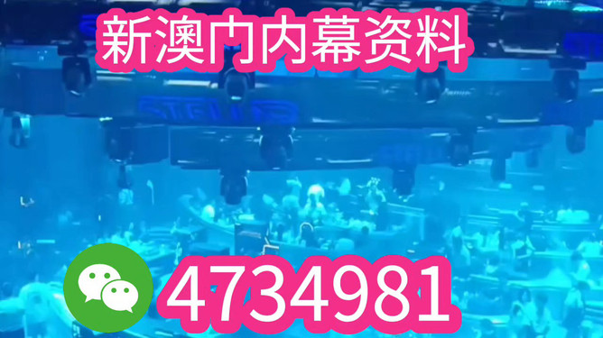 揭秘未來之星，2025新澳王中王，揭秘未來之星，2025新澳王中王風采展示