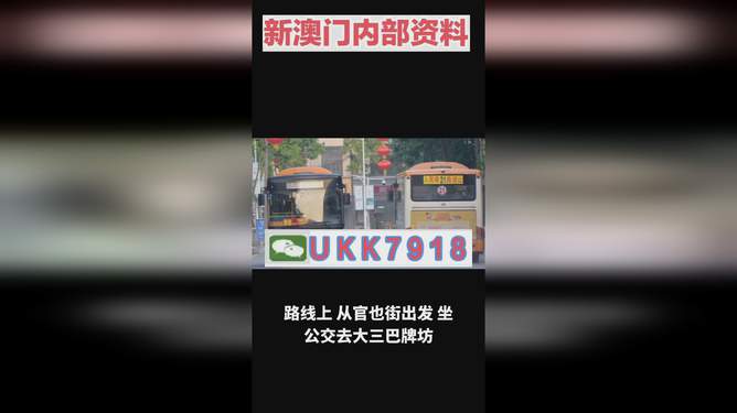 揭秘澳門今晚開獎號碼，預測與策略走向，澳門今晚開獎號碼揭秘與預測策略走向探討