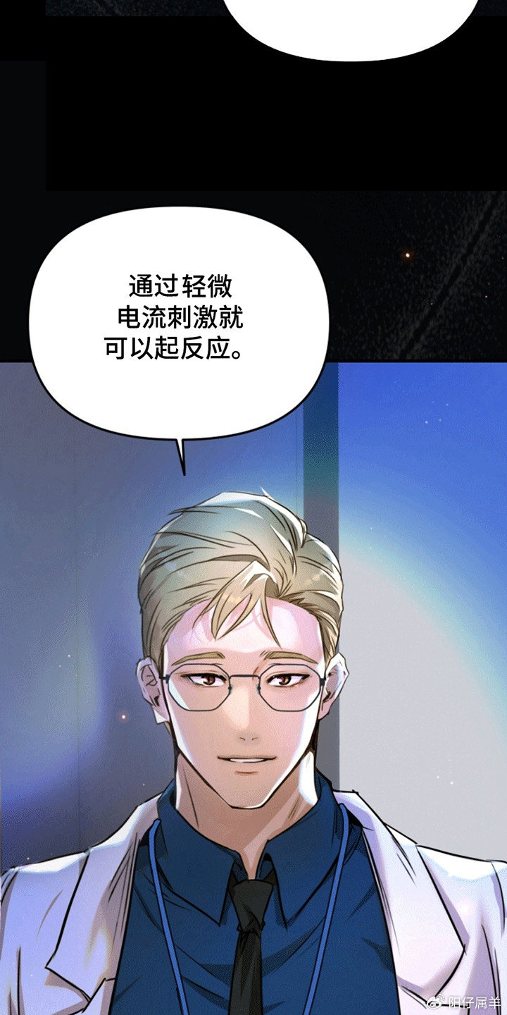 夜間診療室韓漫免費，探索醫療與娛樂的新領域，夜間診療室韓漫免費，醫療與娛樂的新領域探索