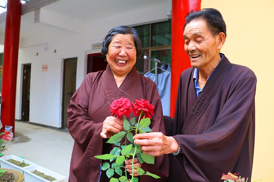 揭秘最準一碼一肖，揭秘背后的秘密與真相，鳳凰網(wǎng)獨家報道，獨家揭秘，最準一碼一肖背后的秘密真相（鳳凰網(wǎng)報道）
