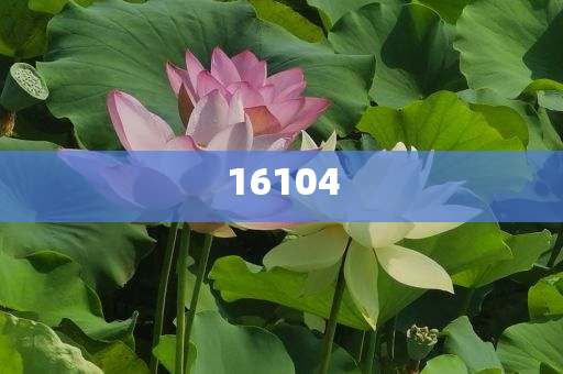 新奧600圖庫2025，探索與前瞻，新奧600圖庫2025，深度探索與未來展望